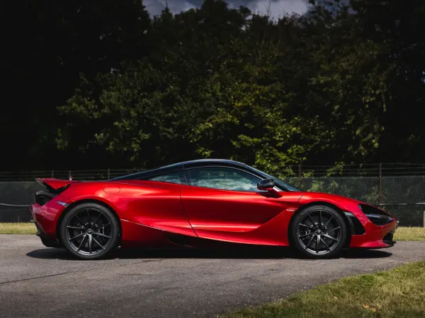 קזינו טו פאט ליידיז בינגו אפליקציית Android/iOS